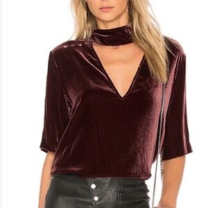 Theory Deep Wine Velvet Blouse